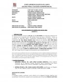 Acta de registro de audiencia de juicio oral