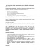 BACTERIAS DEL SUELO ASOCIADAS A PLANTACIONES DE BAMBUSA