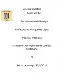 Insectos: Arácnidos