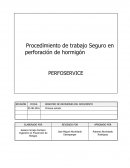 PTS Prevencion de riesgos