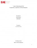 Cuadro de Mando Integral (CMI) su importacia y du aplicación en el Project Management