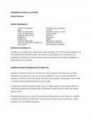 Informe de perfil de estres