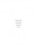 Principios de calidad. Gestión de calidad