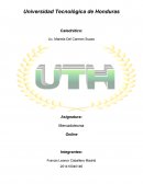 Microempresa: Inversiones Tecno-Util