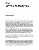 Caso Nattel Corporation