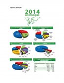 Importaciones Bolivia