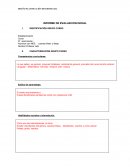 INFORME DE EVALUACION INICIAL