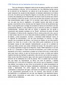 Extinción de los habitantes de la isla de Pascua