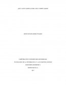 Ensayo sobre las partes del computador