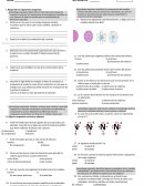Examen de quimica s/r