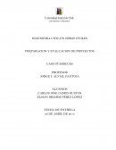 PREPARACION Y EVALUACION DE PROYECTOS CASO STARBUCKS