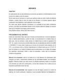 REPORTE