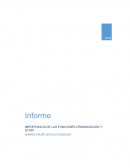 Informe Importancia de las funciones Organizacion y Staff