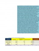 Cédula de inventario inicial de producción en proceso