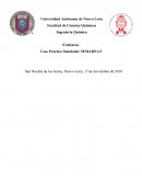 Caso Práctico Simulador SEMARNAT