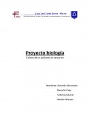 Proyecto biología. Cultivo de un polluelo sin cascaron