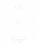 ANALISIS FINANCIERO “MAPA CONCEPTUAL”