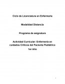 Actividad Curricular: Enfermería en cuidados Críticos del Paciente Pediátrico