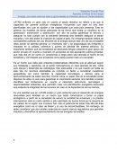 America latina y los negocios globales