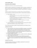 Analisis del sector cervecero