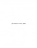 Clínica Forense del Juicio de Amparo