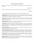 PERFIL DEL PROFESOR EXCELENTE PREESCOLAR