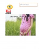 Embarazos a Temprana Edad