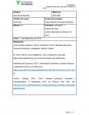 Actividad 1 - Analisis del caso Tumin