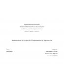 Mantenimiento De Equipos En El Departamento De Reproduccion