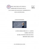 Pigmalión en la gerencia