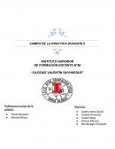 CAMPO DE LA PRACTICA DOCENTE