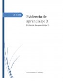 Evidencia de Aprendizaje Casos