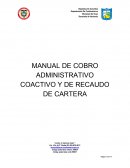 MANUAL DE COBRO ADMINISTRATIVO COACTIVO Y DE RECAUDO DE CARTERA