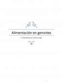 Nutrición en la vejez