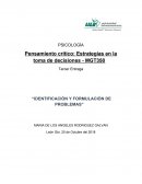 IDENTIFICACIÓN Y FORMULACIÓN DE PROBLEMAS