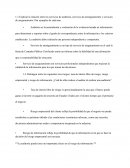 Auditoria capítulo 1 preguntas y respuestas