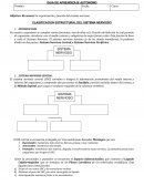 CLASIFICACIÓN ESTRUCTURAL DEL SISTEMA NERVIOSO