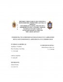 INFORME PRACTICAS PROFESIONALES REALIZADAS EN EL LABORATORIO DENTAL DENTO-ORTODONCIA ABNER MOLINA EN EL PERIODO 2018-II