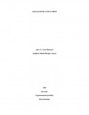 Alegatos de conclusion