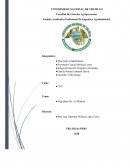 Algoritmo de la madera