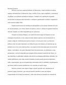 Resumen ejecutivo Dolcezza