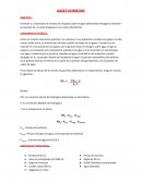 GASES HUMEDOS