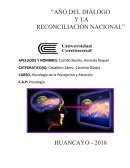 Psicologia e la percepcion y atencion