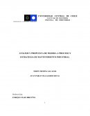 ANÁLISIS Y PROPUESTA DE MEJORA A PROCESO Y ESTRATEGIA DE MANTENIMIENTO INDUSTRIAL