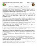 Lanzador multiple M.G.L.