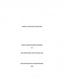 INFORME DE LABOR SOCIAL OBLIGATORIO