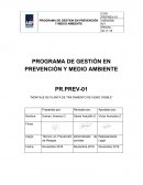 PROGRAMA DE GESTIÓN EN PREVENCIÓN Y MEDIO AMBIENTE
