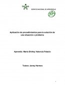 Aplicación de procedimientos para la solución de una situación o problema