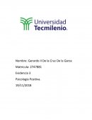 Evidencia Psicologia Positiva