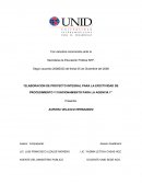 Elaboracion de proyecto integral para la efectividad de procedimiento y funcionamiento para la agencia